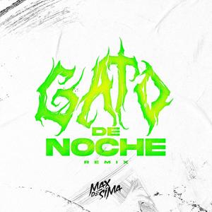 Gato de noche (Remix)