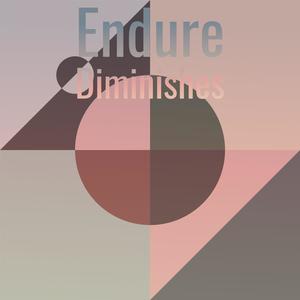 Endure Diminishes