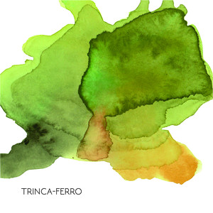 Trinca-Ferro