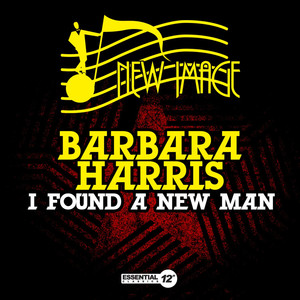 I Found a New Man (Vocal 12