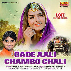 Gade Aali Chambo Chali LOFI (Slowed+Reverb)