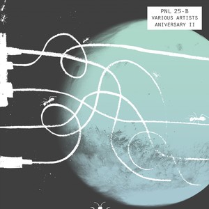 Bad Charlie (Original Mix)