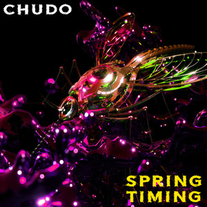 Spring Timing (Explicit)