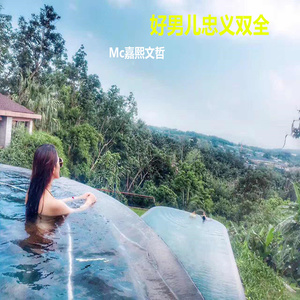 好男儿忠义双全