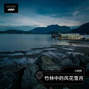 竹林中的风花雪月