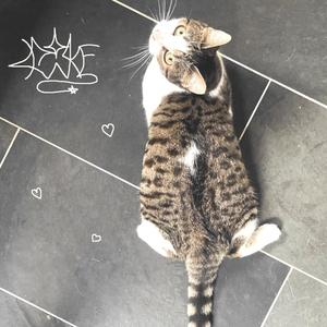 on the floor (Explicit)