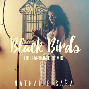 Black Birds (Hollaphonic Remix)