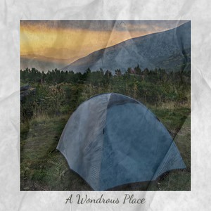 Hyperactive Brain Stinger 2