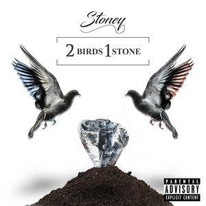 2 Birds 1 Stone (Explicit)