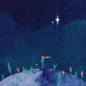 追星星的人
