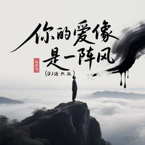 你的爱像是一阵风 (DJ浩然版伴奏)