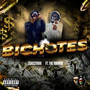 BICHOTES (feat. ZsasZTrrr) (Explicit)