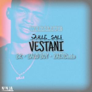 Julle Sali Vestani (feat. BK, Balo Boy & ZainDanko)