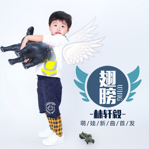 翅膀 (伴奏)