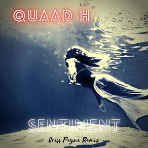 Sentiment