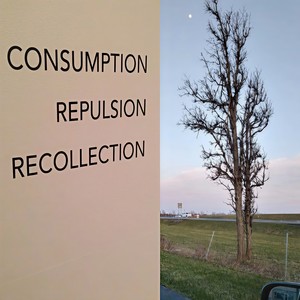 S t a r t(Consumption Repulsion Recollection)