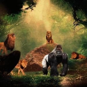 Con i Miei (Explicit)