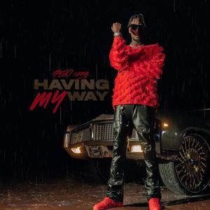 HAVING MY WAY (Explicit)