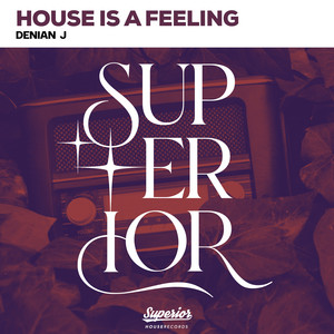 House is a Feeling (Extended Mix)