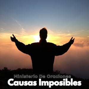 Causas Imposibles