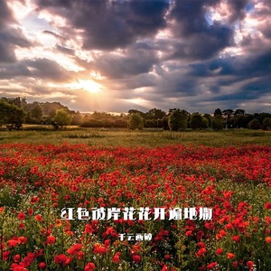 红色彼岸花花开遍地撒