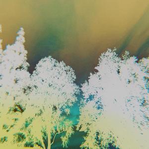 Warming Up My Voice By The Lake