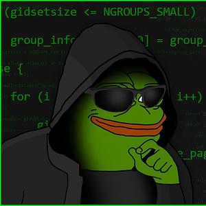 Suntem Hackeri de 5 Stele(feat. Bunicu)