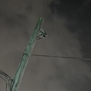 øne shøt (Explicit)