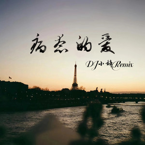 病态的爱 (DJ小辞Remix)