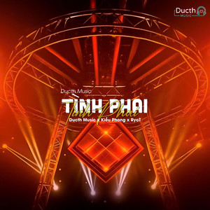 Tình Phai (Ducth Remix Beat)