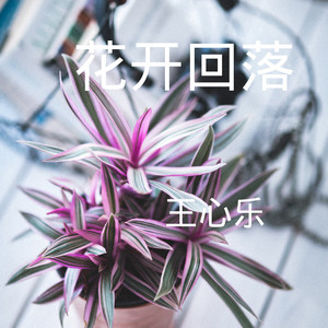 僵尸全明星 (DJ版)