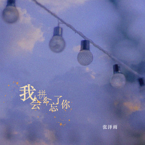 张泽雨 - 我会拼命忘了你