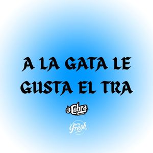 A la gata le gusta el tra