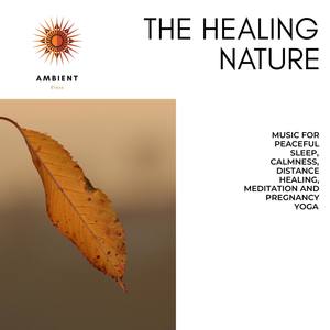 The Healing Nature (Music For Peaceful Sleep, Calmness, Distance Healing, Meditation And Pregnancy Y