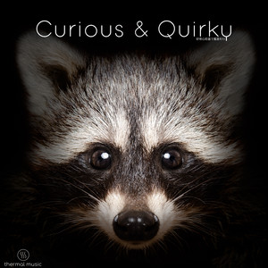 Curious & Quirky