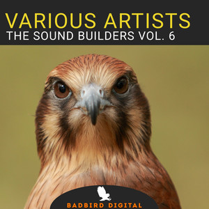 The Sound Builders, Vol. 6