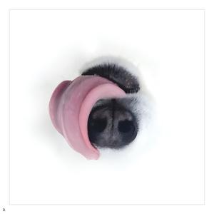 Throwing Ghosts (feat. Casey Gerald) (Explicit)