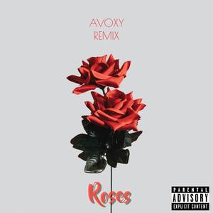 Roses (Remix) [Explicit]