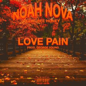 LOVE PAIN (feat. Bee Honey) (Explicit)