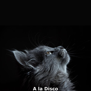 A La Disco