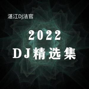 2022DJ精选集