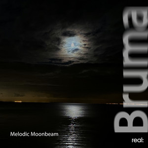 Melodic Moonbeam