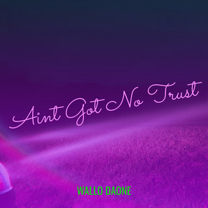 Aint Got No Trust (Explicit)