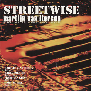 Northern Night Skies