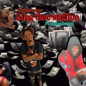 Meg Thee Stallion (feat. Bigbankzaay) (Explicit)