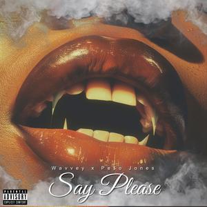 Say Please (feat. Pe$o Jones) [Explicit]