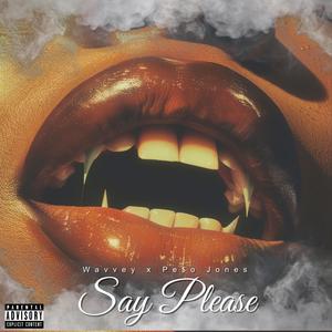 Say Please (feat. Pe$o Jones) (Explicit)