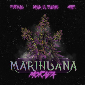 Marihuana Morada