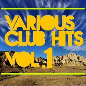 Various Club Hits Vol.1