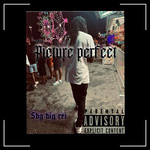 Picture Perfect (Explicit)